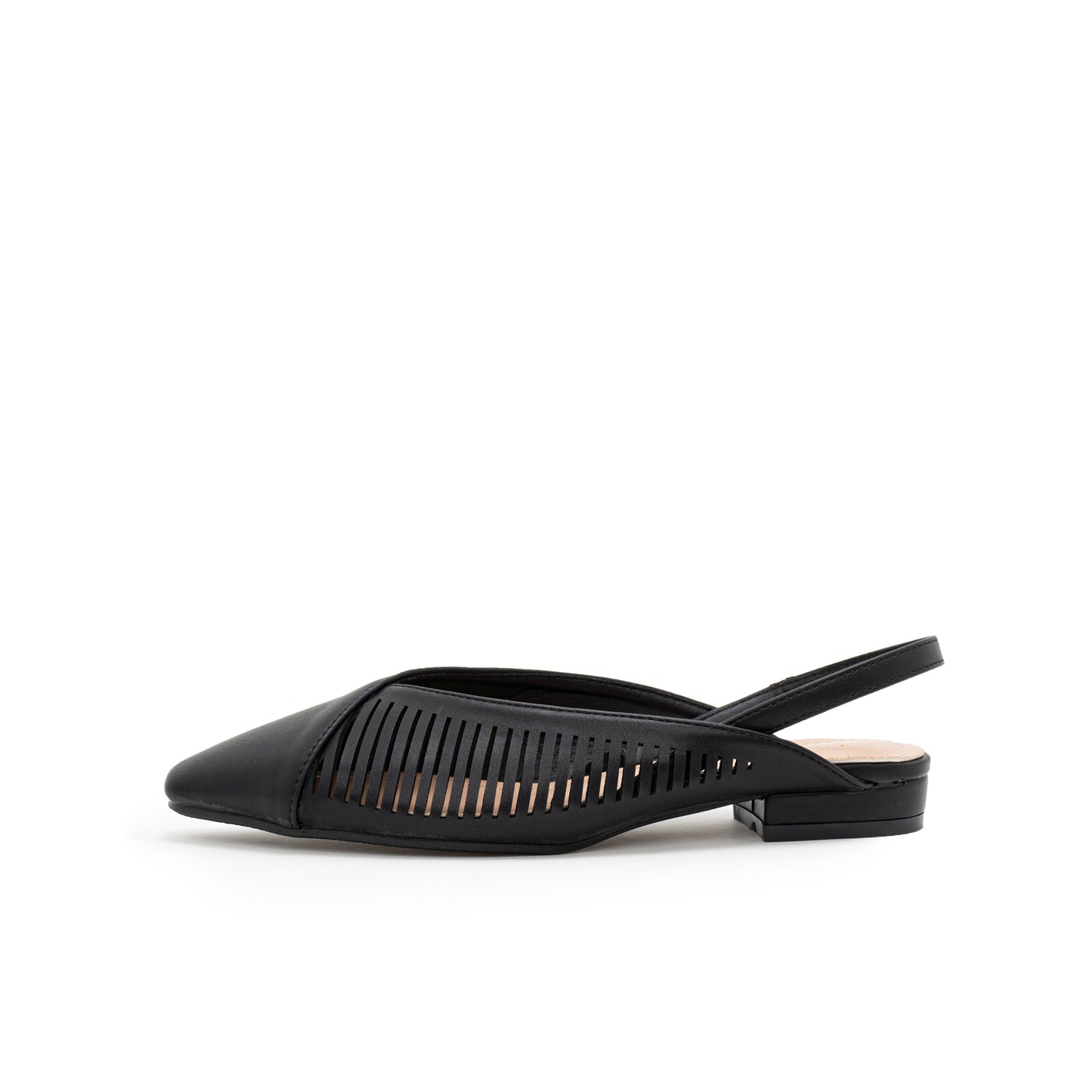 Statice Ballerina Shoes