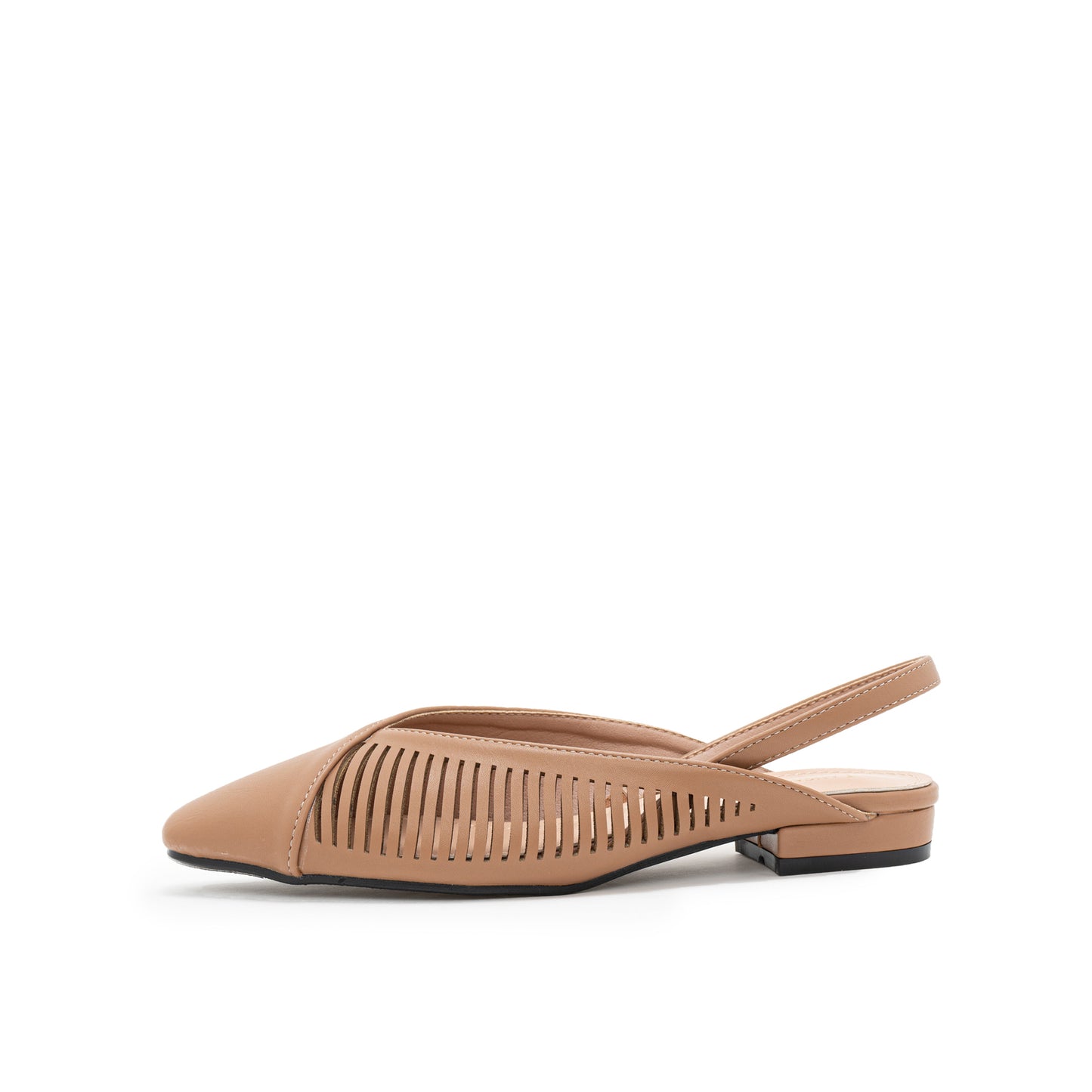 Statice Ballerina Shoes